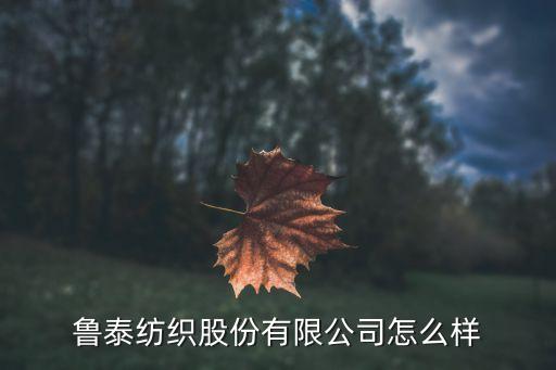 魯泰紡織股份有限公司怎么樣