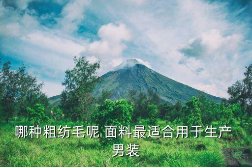 男裝面料 單面河北