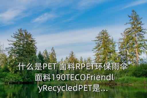 什么是PET 面料RPET環(huán)保雨傘 面料190TECOFriendlyRecycledPET是...