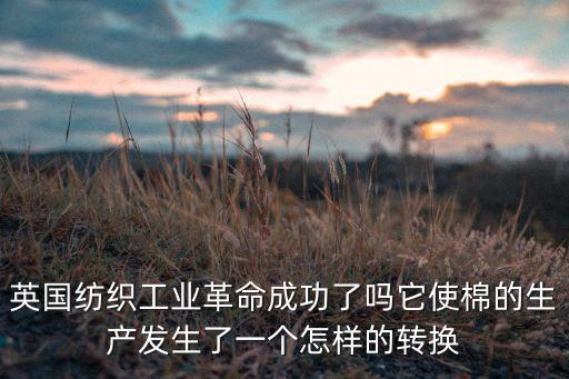非洲紡織業(yè),非洲沒有紡織業(yè)嗎