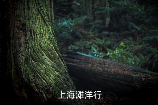  上海灘洋行