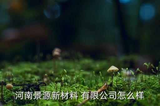 河南景源新材料 有限公司怎么樣