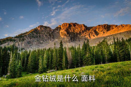冰花絨布是什么面料,冰花駝是什么面料起球嗎