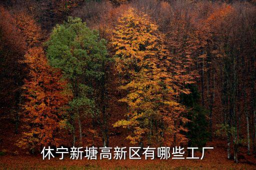 休寧新塘高新區(qū)有哪些工廠