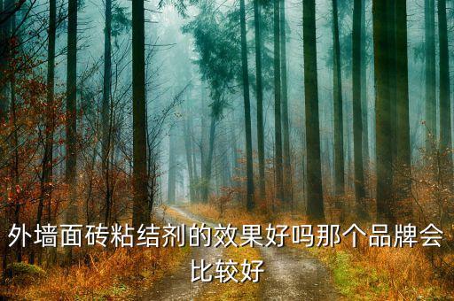 外墻面磚粘結(jié)劑的效果好嗎那個(gè)品牌會(huì)比較好