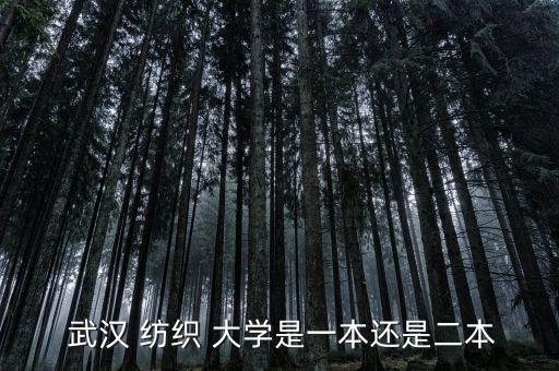  武漢 紡織 大學(xué)是一本還是二本