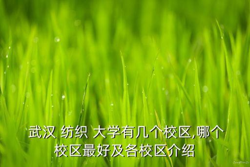 武漢紡織大學(xué)服務(wù)器地址