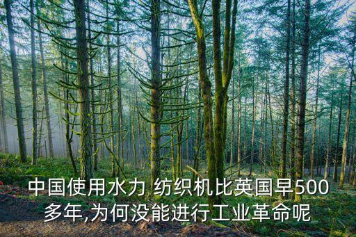中國紡織機(jī)械發(fā)展,中國最大的紡織機(jī)械公司