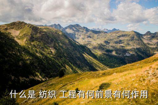 什么是 紡織 工程有何前景有何作用