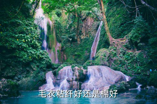 棉紡織毛衫