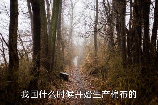 什么是棉紡織技術(shù),棉紡織技術(shù)稿費(fèi)多少