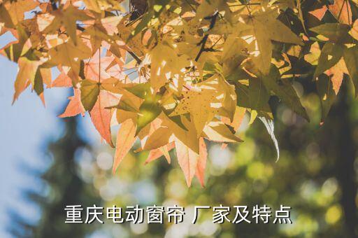 重慶電動(dòng)窗簾 廠家及特點(diǎn)