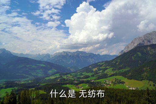 紡織協會 無紡布,無紡布屬于紡織產品嗎