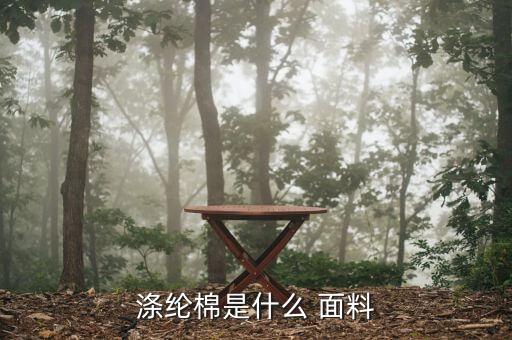 滌綸棉是什么 面料