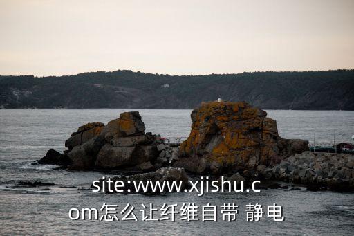 site:www.xjishu.com怎么讓纖維自帶 靜電