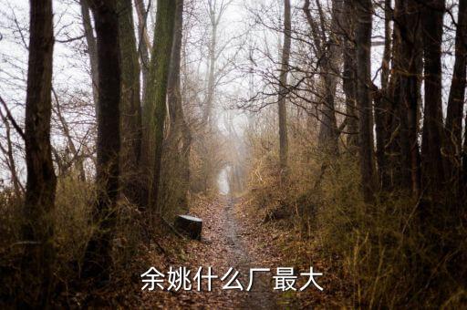 余姚什么廠最大