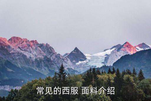 2017春夏國際流行面料