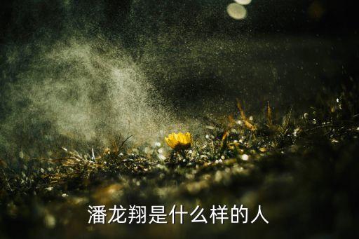 青島裕豐紡織有限公司,蕪湖市裕豐紡織有限公司