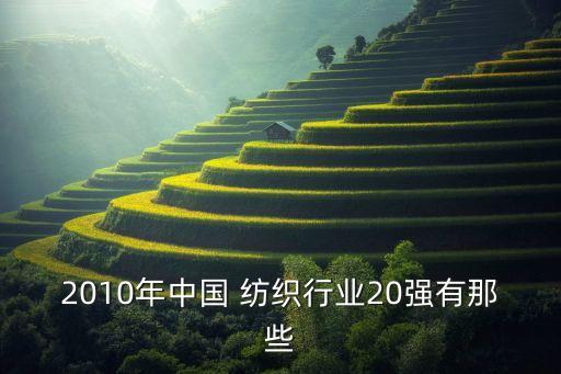 2010年中國 紡織行業(yè)20強有那些