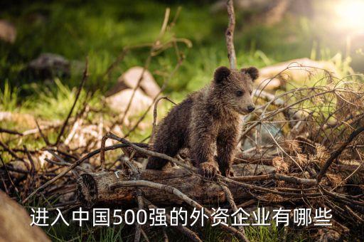 進(jìn)入中國(guó)500強(qiáng)的外資企業(yè)有哪些