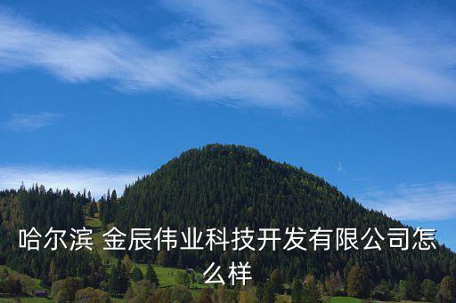 哈爾濱 金辰偉業(yè)科技開發(fā)有限公司怎么樣