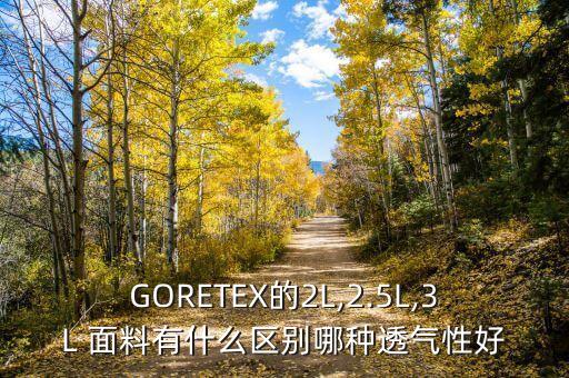 GORETEX的2L,2.5L,3L 面料有什么區(qū)別哪種透氣性好