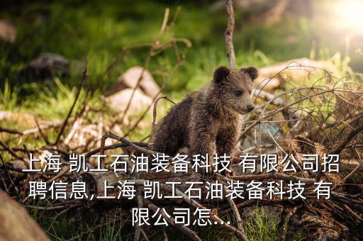 上海 凱工石油裝備科技 有限公司招聘信息,上海 凱工石油裝備科技 有限公司怎...