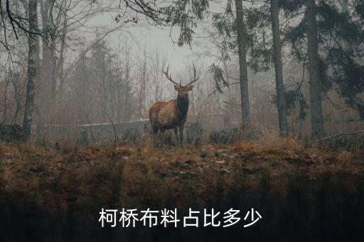 柯橋布料占比多少