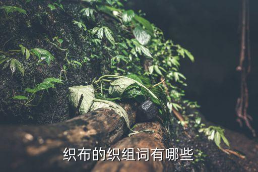 織布的織組詞有哪些