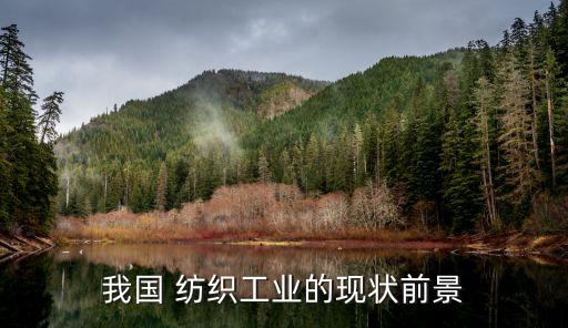 我國 紡織工業(yè)的現(xiàn)狀前景