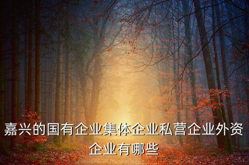 嘉興市網(wǎng)易服飾有限公司
