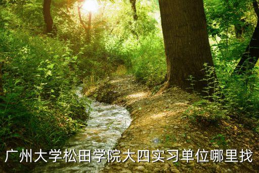 廣州大學(xué)松田學(xué)院大四實(shí)習(xí)單位哪里找