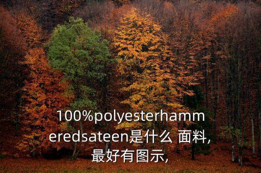100%polyesterhammeredsateen是什么 面料,最好有圖示,