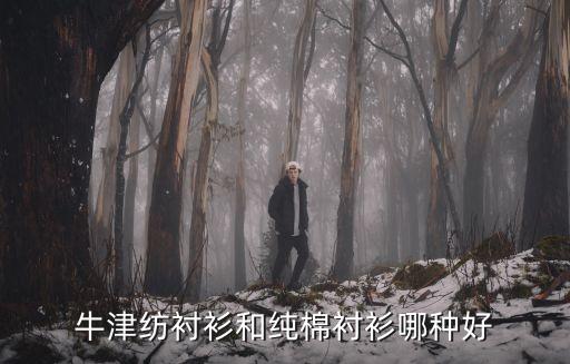 牛津紡襯衫和純棉襯衫哪種好