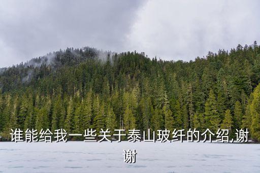 誰能給我一些關(guān)于泰山玻纖的介紹,謝謝