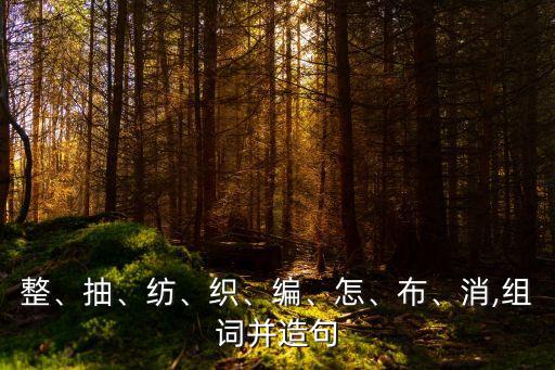 整、抽、紡、織、編、怎、布、消,組詞并造句