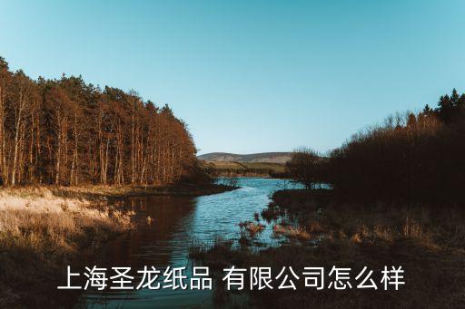 上海圣龍紙品 有限公司怎么樣