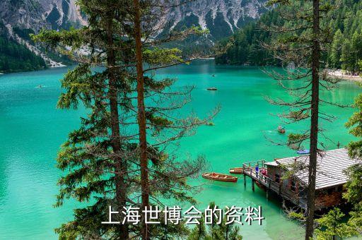  上海世博會(huì)的資料