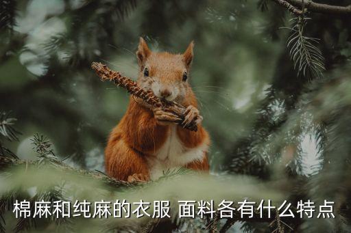 棉麻和純麻的衣服 面料各有什么特點(diǎn)