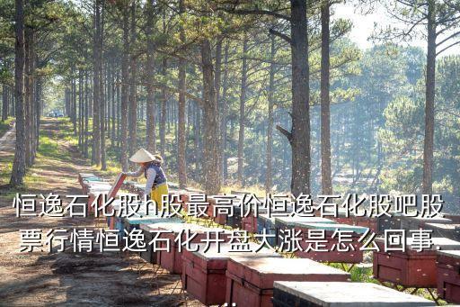 恒逸石化股h股最高價(jià)恒逸石化股吧股票行情恒逸石化開(kāi)盤大漲是怎么回事...