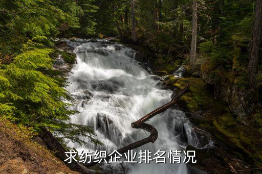 求紡織企業(yè)排名情況
