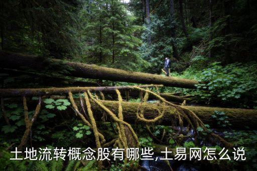 土地流轉(zhuǎn)概念股有哪些,土易網(wǎng)怎么說(shuō)