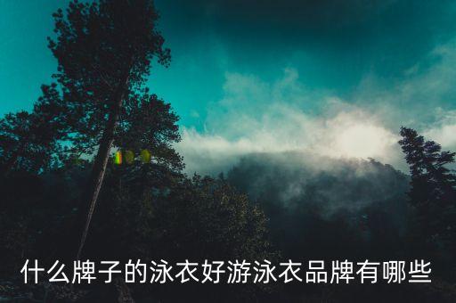 泳裝面料供應(yīng)商,泳裝的面料是啥材料的
