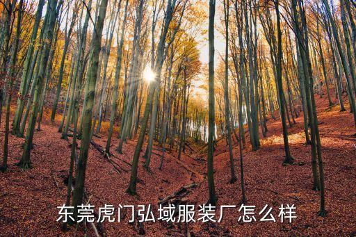 東莞市領(lǐng)域服飾有限公司