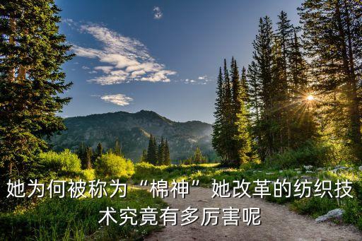 她為何被稱為“棉神”她改革的紡織技術(shù)究竟有多厲害呢