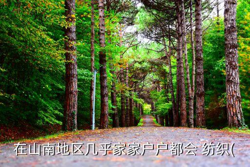 在山南地區(qū)幾乎家家戶戶都會 紡織(