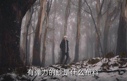 有彈力的紗是什么布料