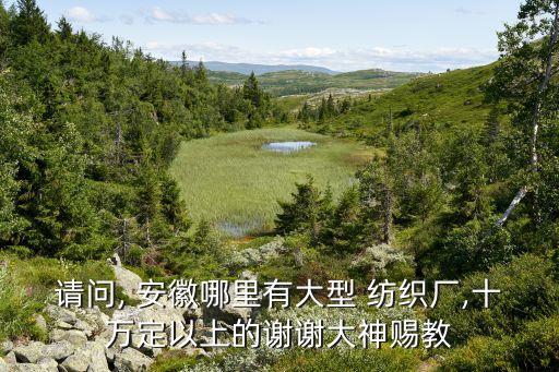 安徽的紡織有限公司,安徽紡織有限公司應(yīng)急預(yù)案公示