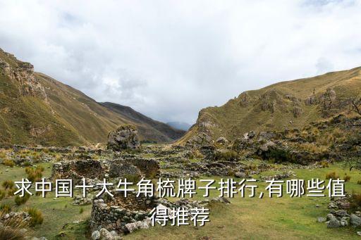 求中國(guó)十大牛角梳牌子排行,有哪些值得推薦