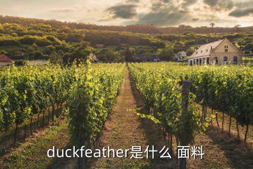 duckfeather是什么 面料
